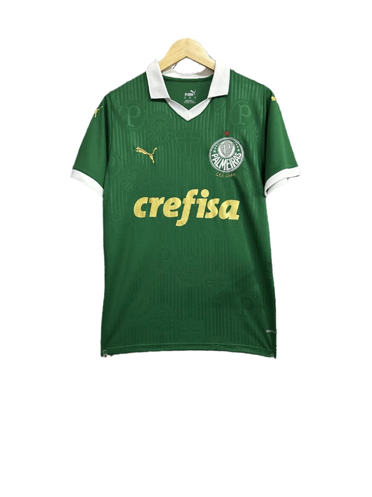 Palmeiras 2024-25 Home Kit